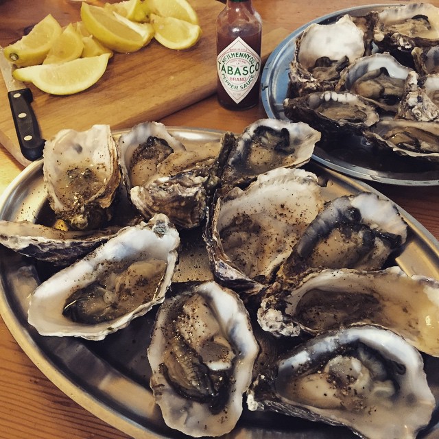 Oysters for dinner. - from Instagram