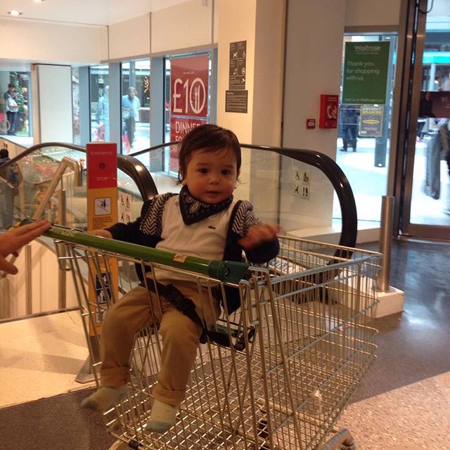 Dexter's first time in a shopping trolley. 