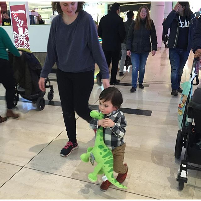Dexter insisted on walking with his dino. 17 months yesterday. 
