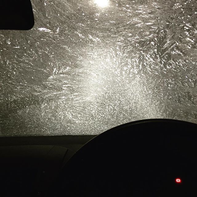 Guess it was cold last night. 