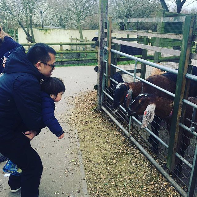 Took Dexter to the farm today. 