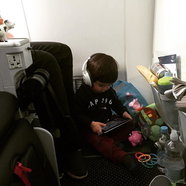Dexter being a good boy on the plane. 