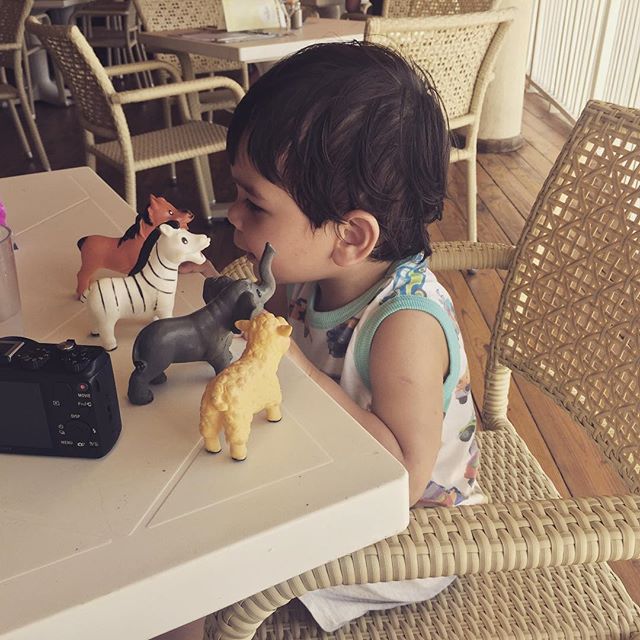 Everywhere he goes his animals go. 
