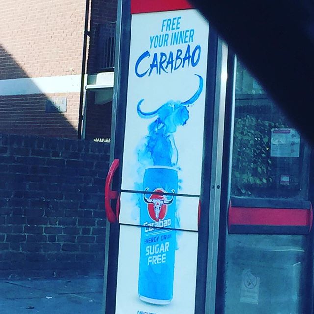 Since when? Carabao Daeng 