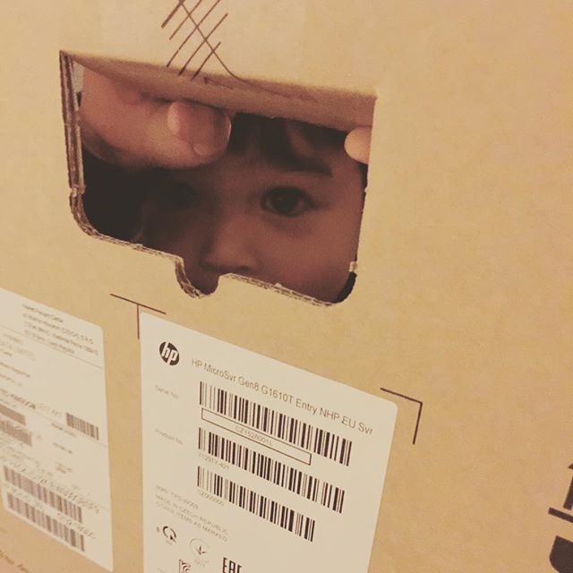 This guy has hundreds of toys, but nothing can beat a cardboard box. 