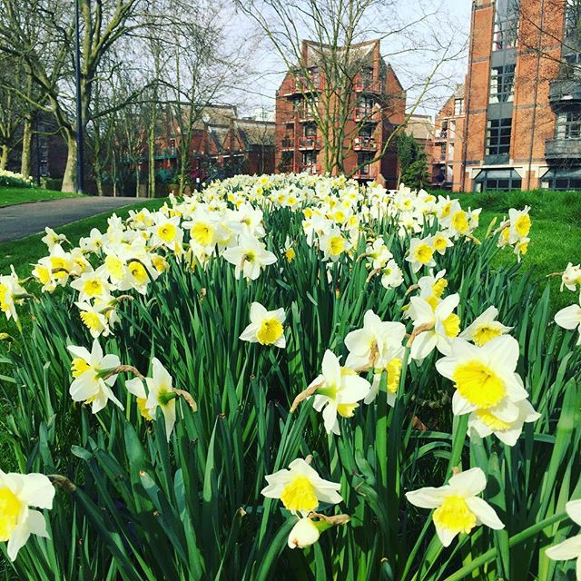 Spring time. 