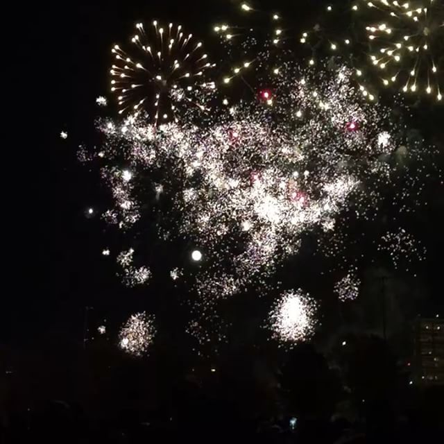 #southwarkparkfireworks
