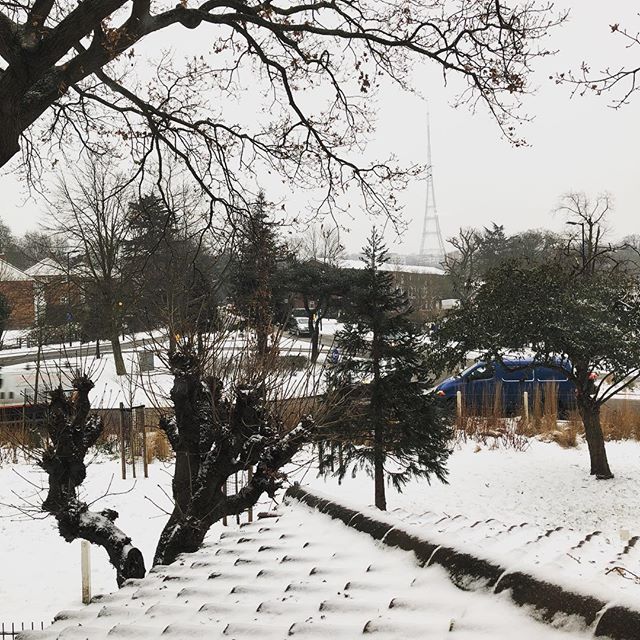 #snowy