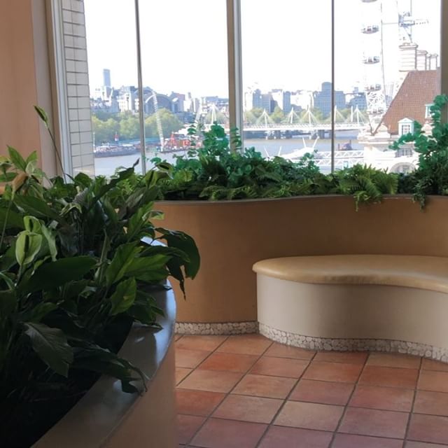 Garden room.