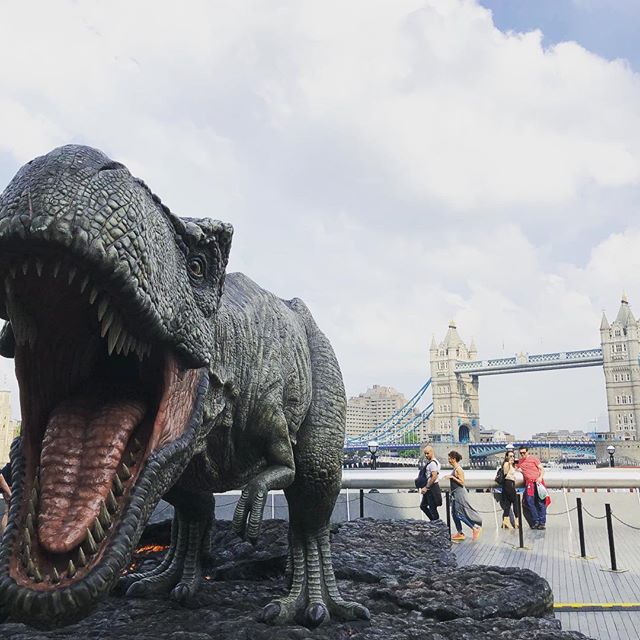 Roar!!!!!